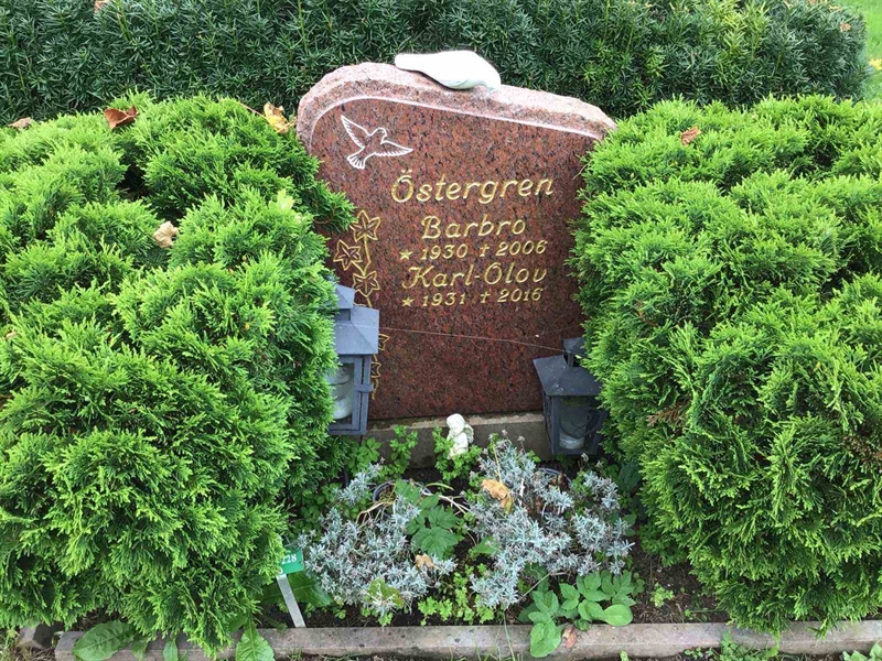 Hautatunnus: Kaga ny   228