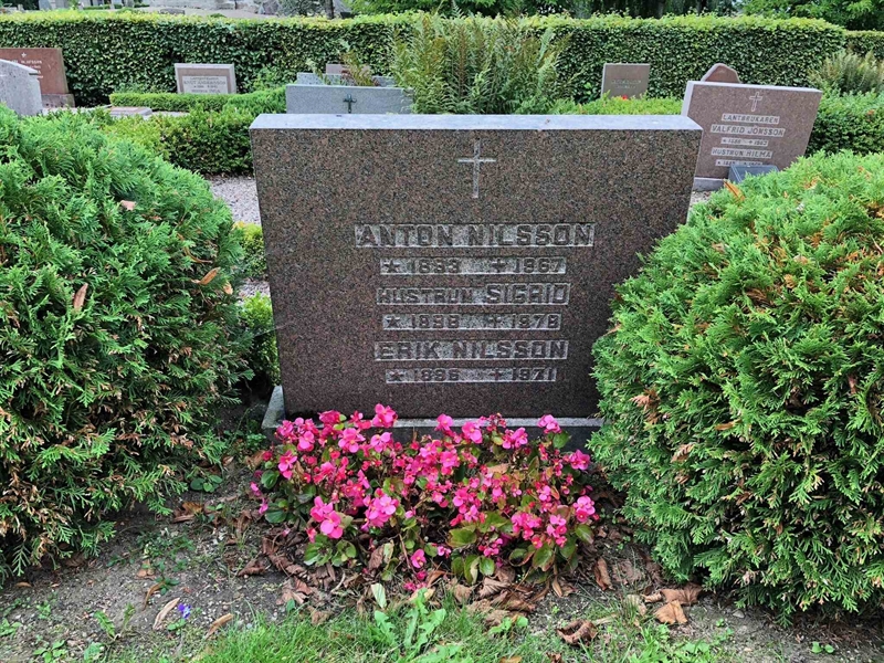 Grave number: AK 04    34, 35, 36