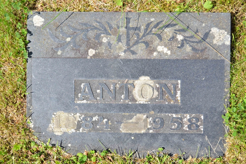 Grave number: 1 F   294