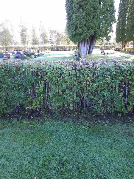 Gravnummer: NK F B    55