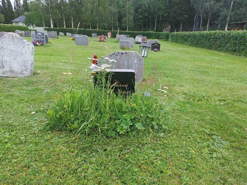 Grave number: FÖ 7    67, 68, 69