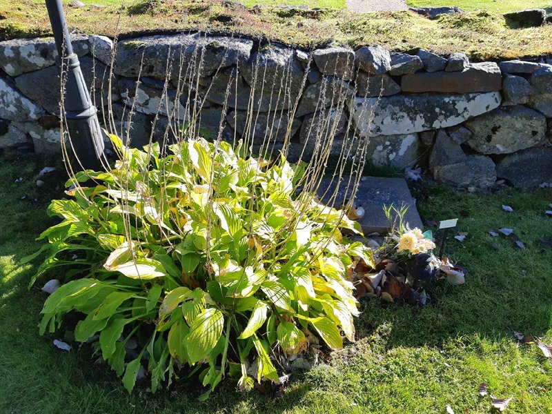 Hautatunnus: Fr 7   913