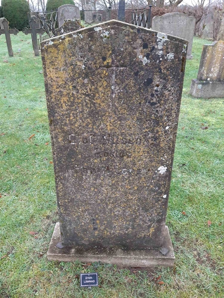 Gravnummer: HG C    48, 49, 50