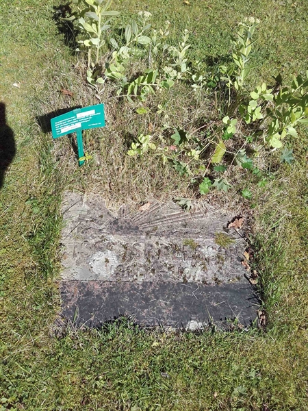 Grave number: NO 07   155