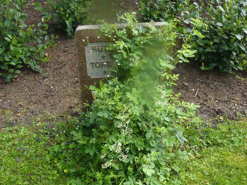 Grave number: 1 L   58