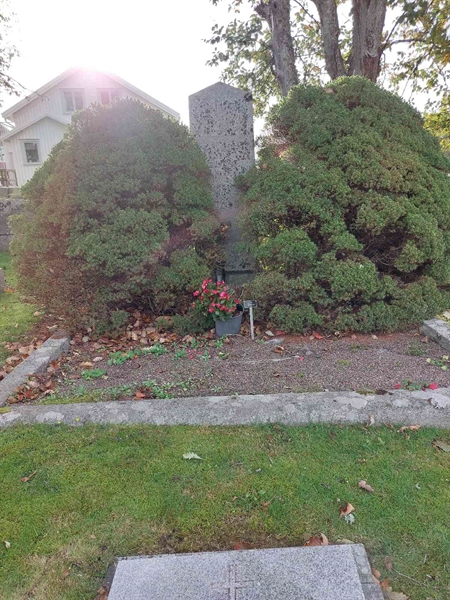 Hautatunnus: GG 008  0828, 0829
