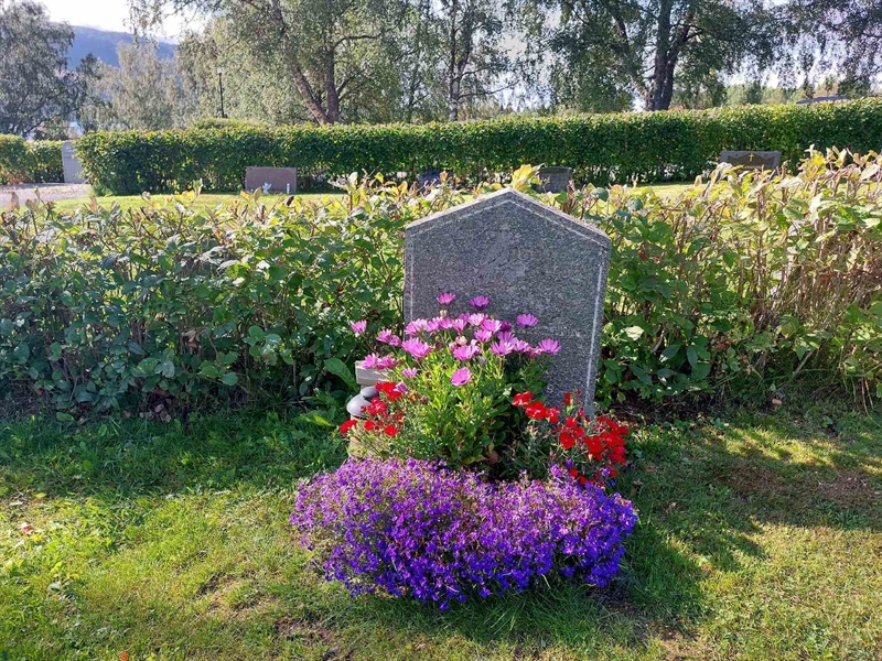 Grave number: K D    29