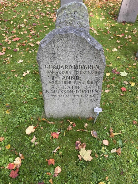 Gravnummer: 1 H   211