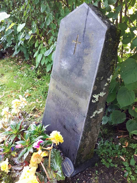 Gravnummer: GK F 4   376