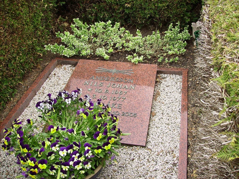Grave number: LM 2 18  069