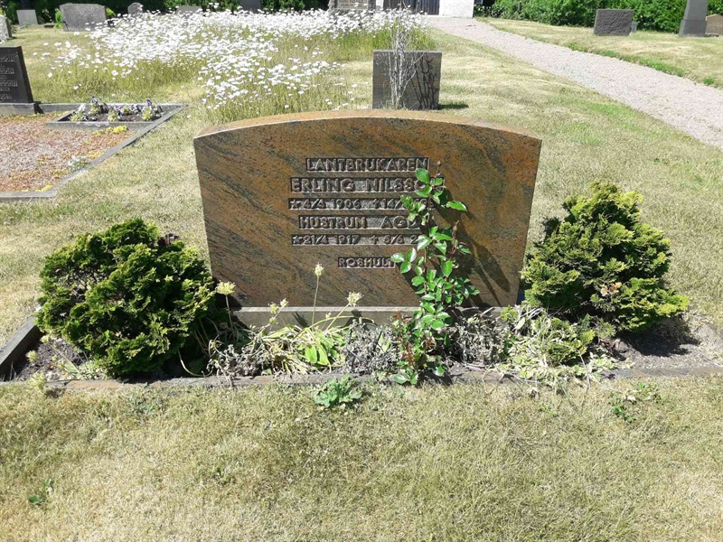 Grave number: TÖ 4   220, 221