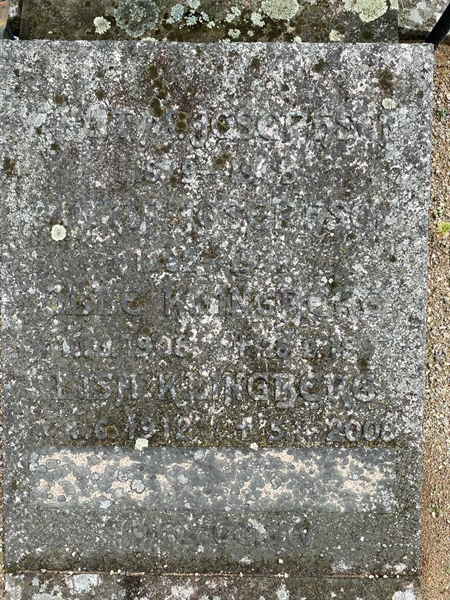 Hautatunnus: 1 13 295, 296, 297