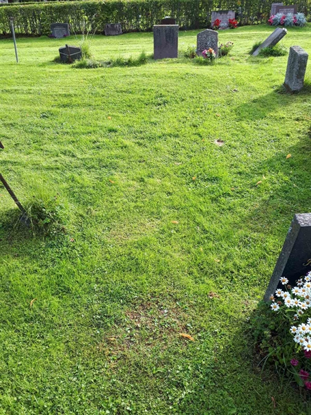 Gravnummer: NK A A    77