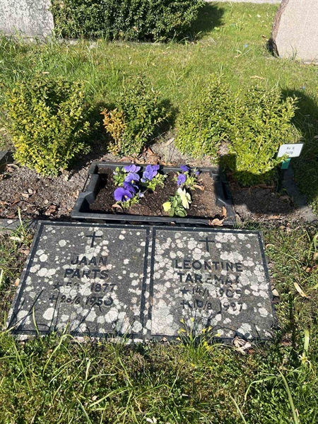 Grave number: SI 6   847B