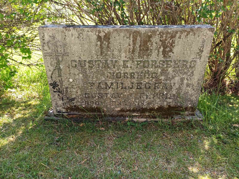 Grave number: RS A 0229