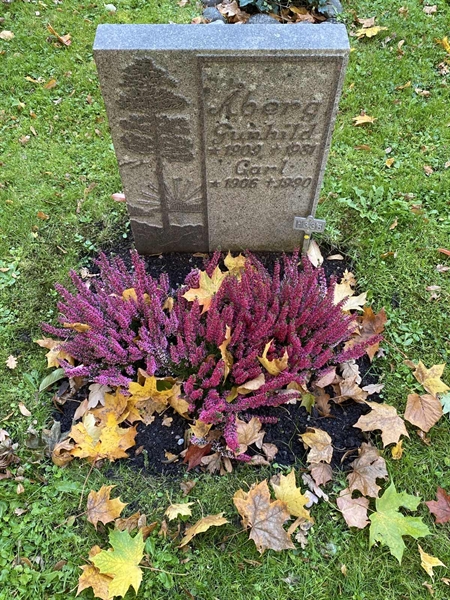 Hautatunnus: 1 H   338