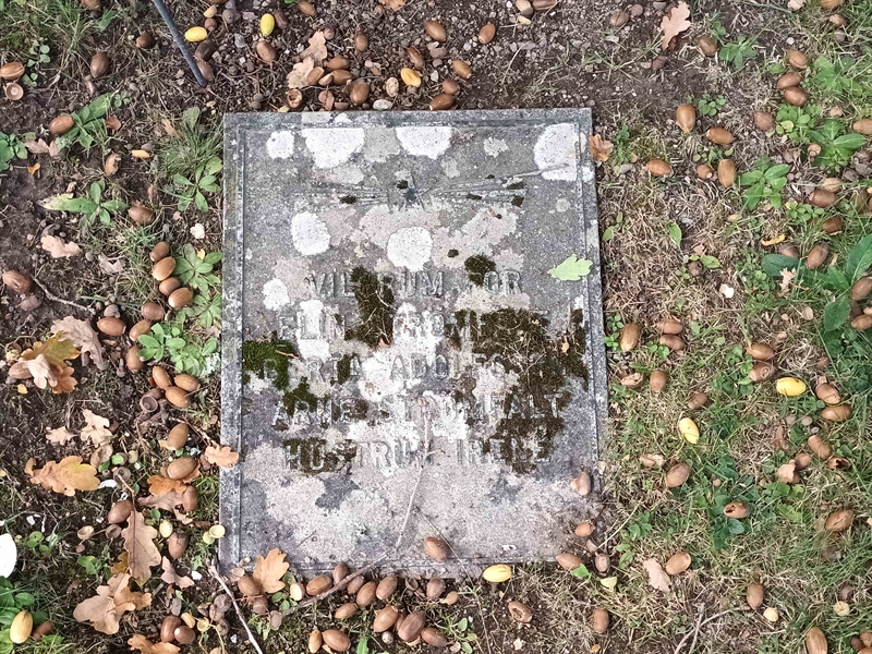Grave number: NO 20   301