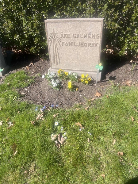 Grave number: 1 3 F1 257