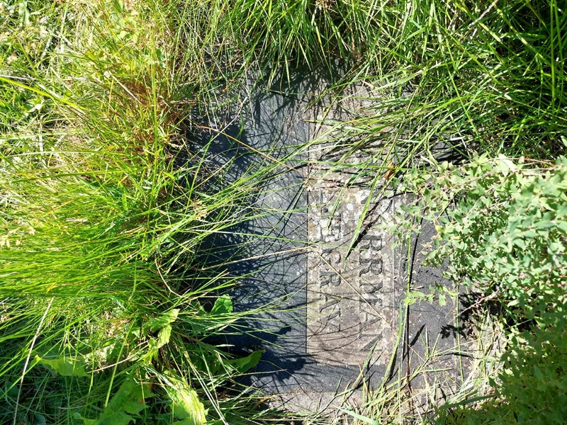 Hautatunnus: 1 D   011