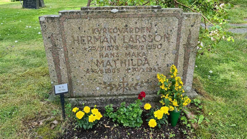 Grave number: M S  146, 146a