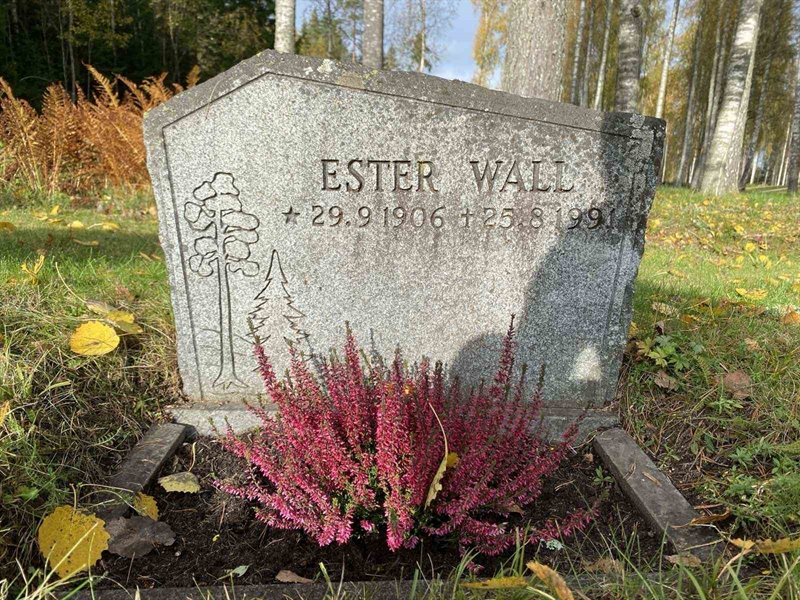 Grave number: 1 22    177