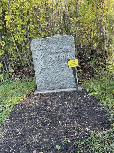 Hautatunnus: 1 M    30