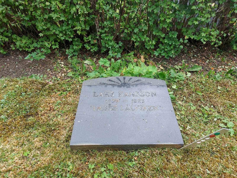 Grave number: FÖ 1    91