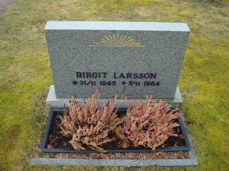 Grave number: BR D   449, 450