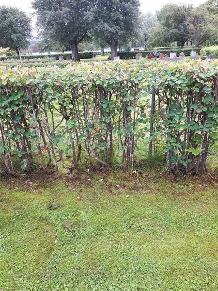 Gravnummer: NK F A   180