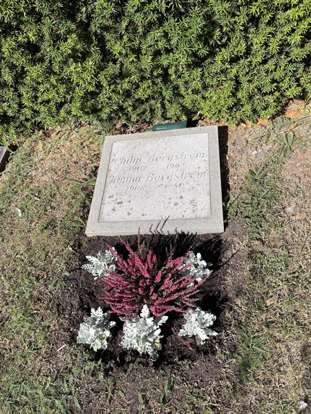 Grave number: NK I:u   240