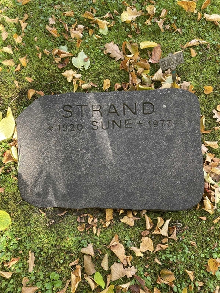 Hautatunnus: 1 H   196