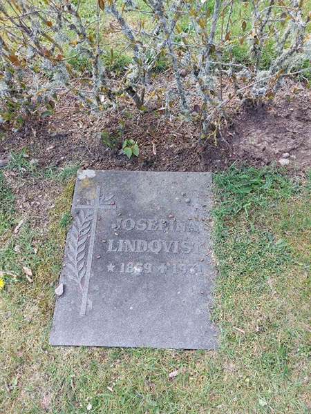 Grave number: HÖ 10  116