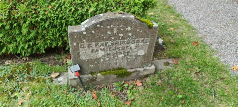 Grave number: M V  232, 233