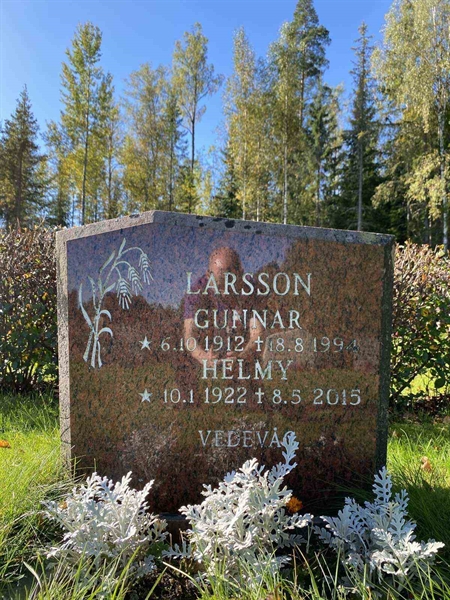 Gravnummer: 1 22    105