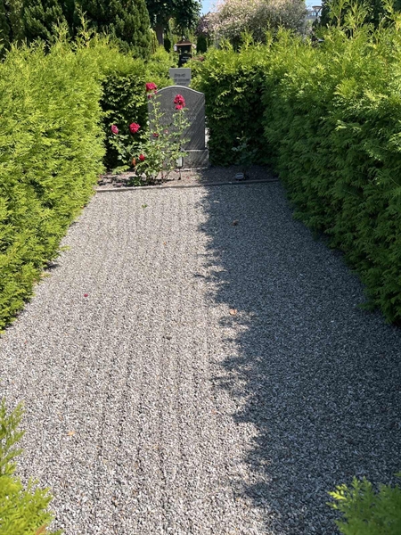 Grave number: NK VII    73