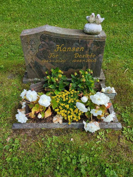 Grave number: 1 29    62-63