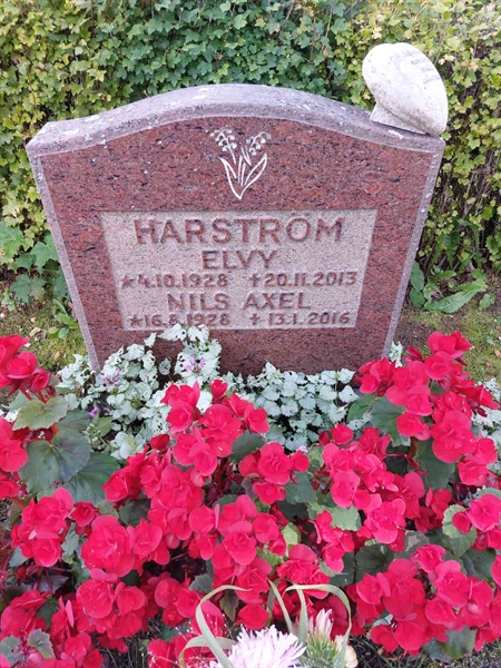 Hautatunnus: 1 D   110