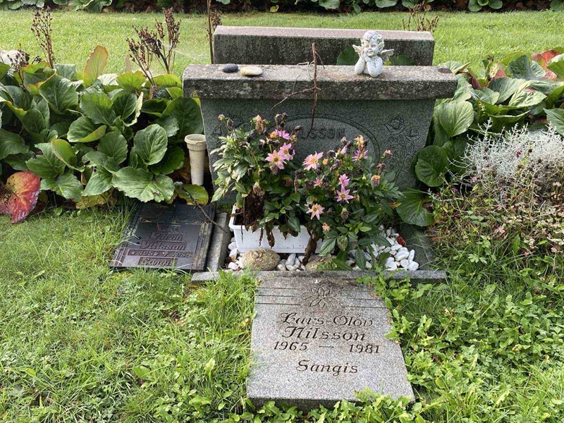 Grave number: 3 11 114