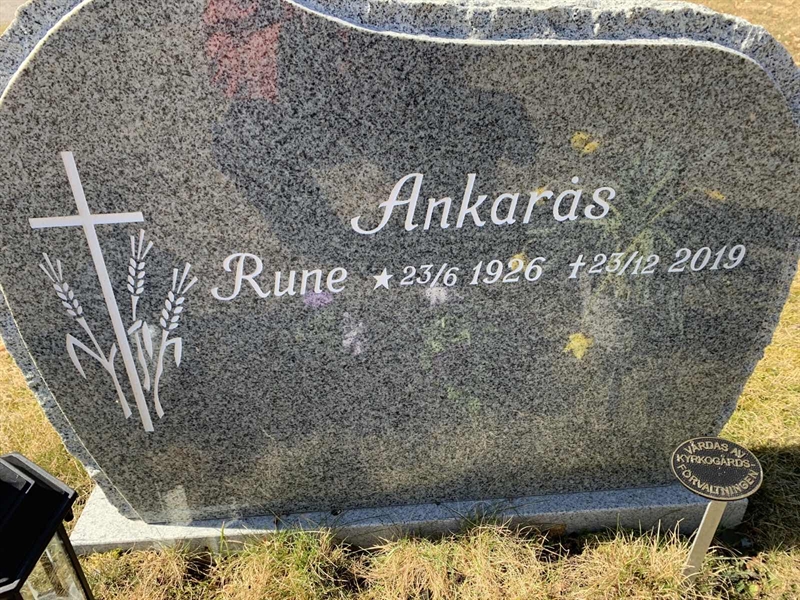 Grave number: 1 NK   41