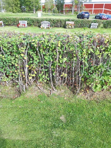 Grave number: NK F B   121