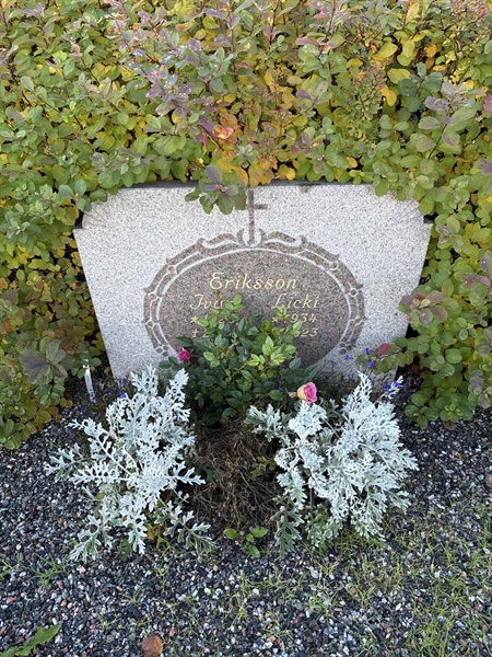 Grave number: 4 N NB   229