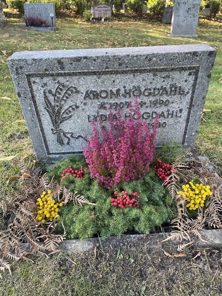 Grave number: 1 D1    66-67