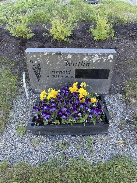 Grave number: 4 G GK    31