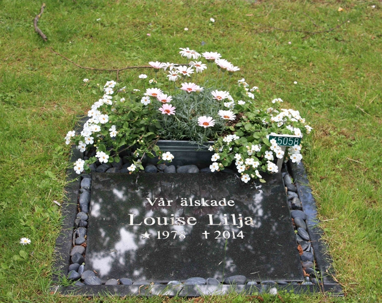 Grave number: Ö 45    58