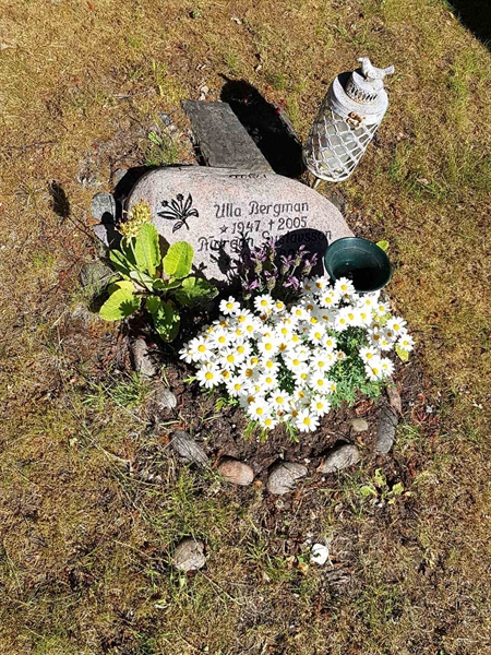 Grave number: 01 12120