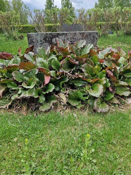 Hautatunnus: 502 12  1339-1341