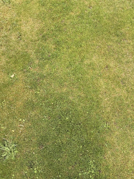 Grave number: SKF A   242