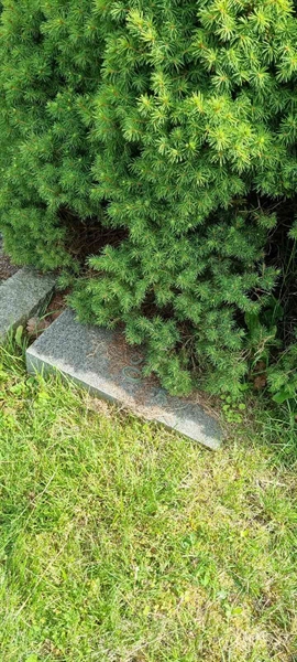 Grave number: LM 1 07  024