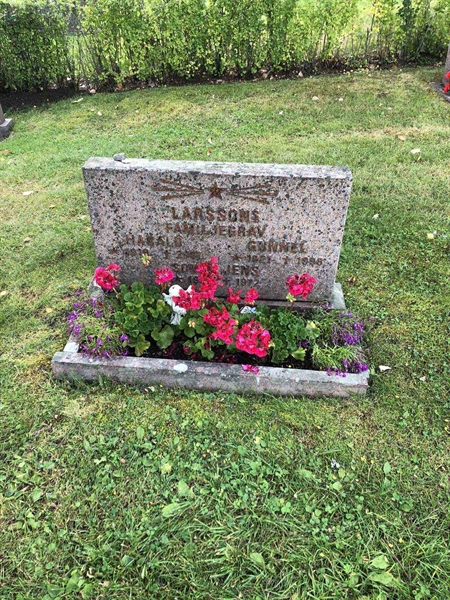 Hautatunnus: 3 H    69-70