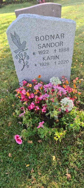 Grave number: M 16   40